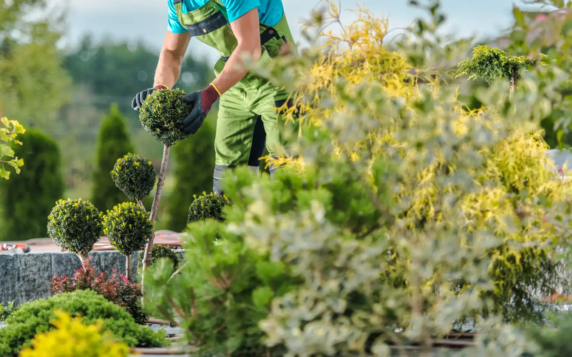 Haven med en person, der planter buske og beskærer planter i en velplejet have.