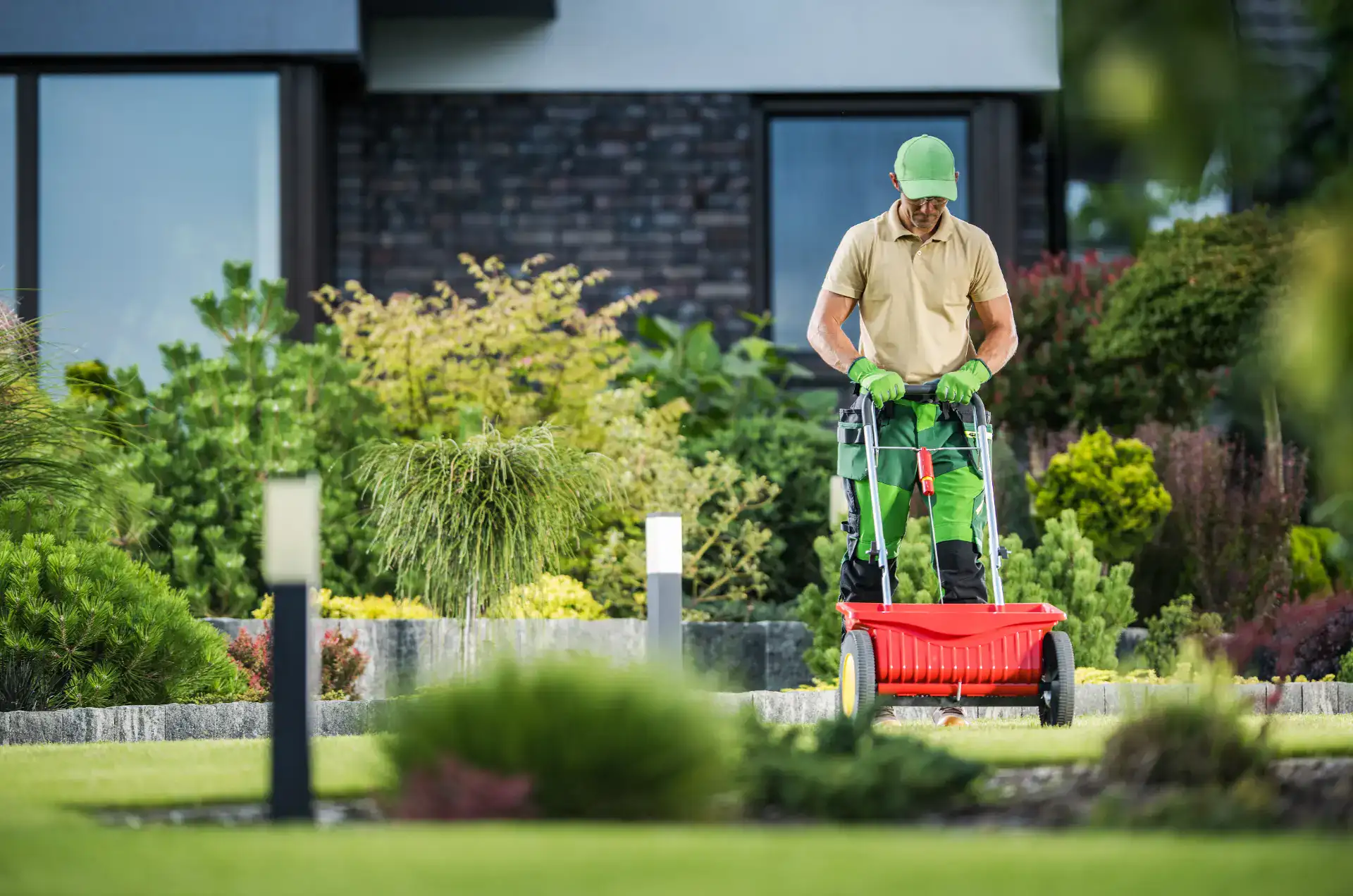 Haveservice med græsslåning, beskæring og vedligeholdelse i moderne have. Professionel pleje for et.
